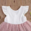 Bowknot Princess Tutu Dress