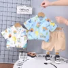 S2f4063dddbf84909baee52721710c809o.webp Dinosaur Tee & Shorts Set