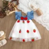 S4c6090bf8408486c9651182c6ee342dfj.webp Cherry Mesh Summer Dress