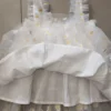 S6b6c99634dbf4337a2f55b9795451f63u.webp Daisy Tulle Party Dress