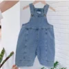 Sa39daca94ae5434a9c5b58dca2c2b7f0b.webp Classic Denim Dungarees