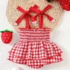 Strawberry Gingham Romper Dress