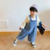 Scc144bf1d1ab49eda84a3829574d5a4fZ.webp Classic Denim Dungarees